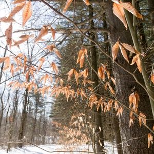 Meet your Posher, Aiden